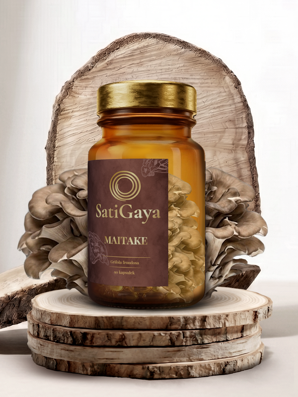 SatiGaya Maitake-  Metabolizm i odporność
