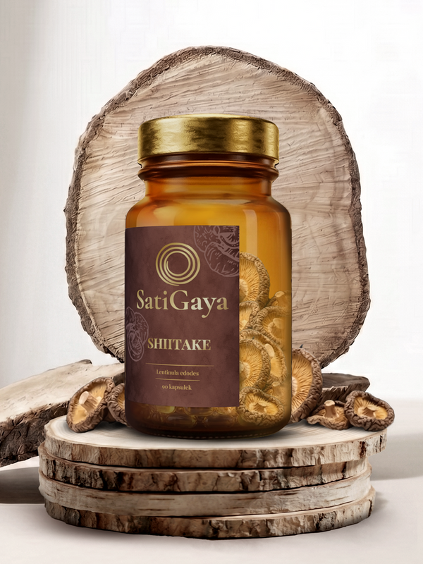 SatiGaya SHIITAKE-Odporność i zdrowie serca