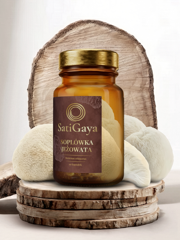 SatiGaya Soplówka Jeżowata-  Pamięć i koncentracja